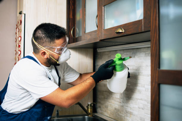 Best Best Pest Control Companies  in Weimar, TX