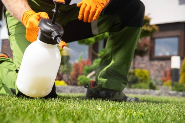 Best Flea Control Services  in Weimar, TX
