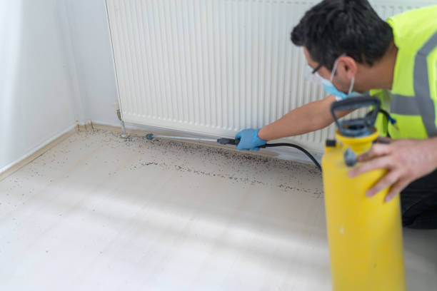 Best Mosquito Control Services  in Weimar, TX