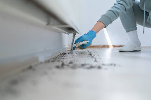Best Exterminator Services  in Weimar, TX