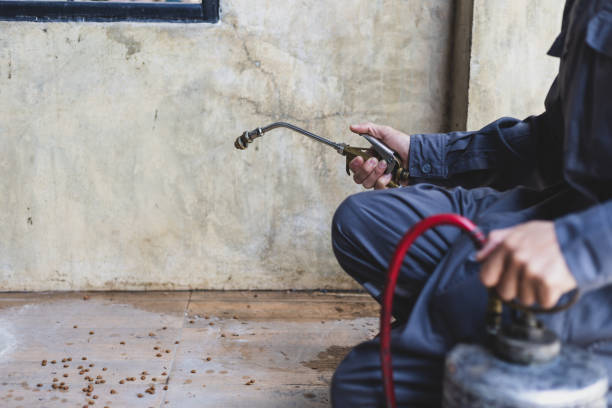 Best Wasp Removal Services  in Weimar, TX